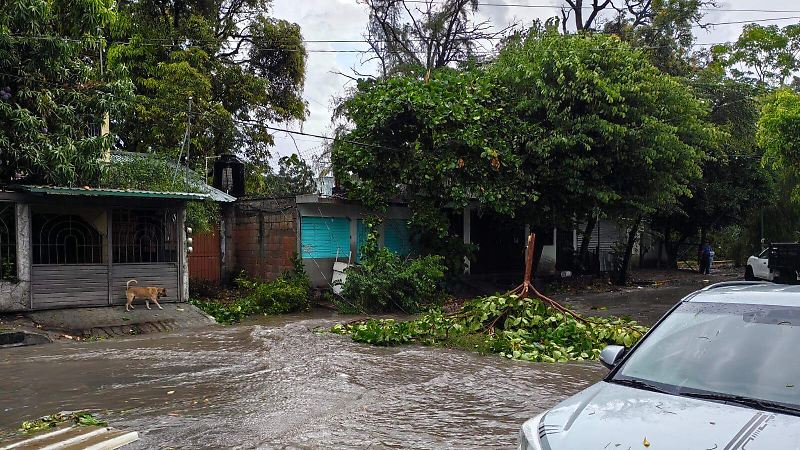 calle